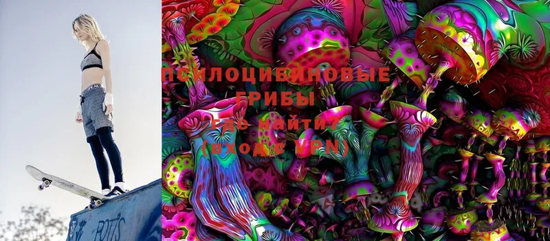 Псилоцибиновые грибы Psilocybine cubensis  kraken как войти  Карасук 